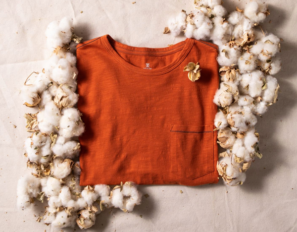 Well Worn Organic Tee