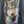 VTG Wolf Lightning Graphic Tee XL - #004