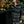 Ember Overshirt