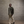 Twill Shirt Jacket