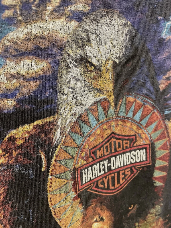 1990s Vintage Harley Lightning Native American Art Tee
