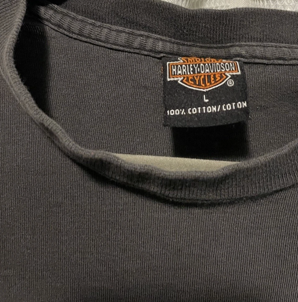 1990s Vintage Harley Lightning Native American Art Tee