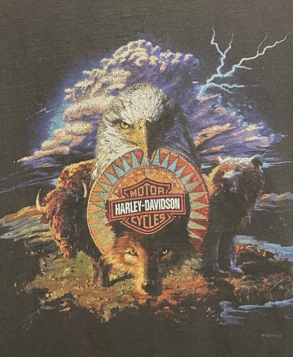 1990s Vintage Harley Lightning Native American Art Tee