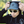 Run Bless Up Camper Hat