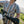 Whippersnapper S/S Shirt