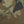 Compadre Bag